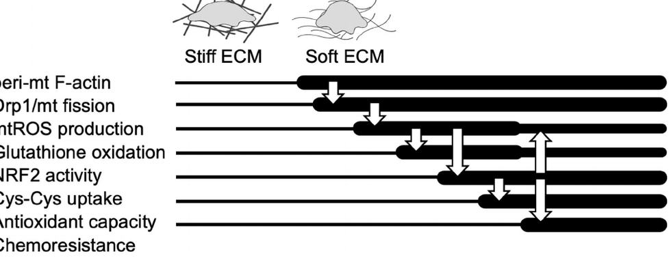Extended Data Fig.10：作者模型图，低分辨率导读版。