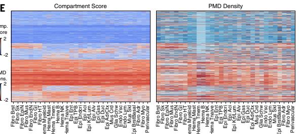 Fig.5E: 跨 major types 的 compartment score 与 PMD density 展示总体耦合与例外。