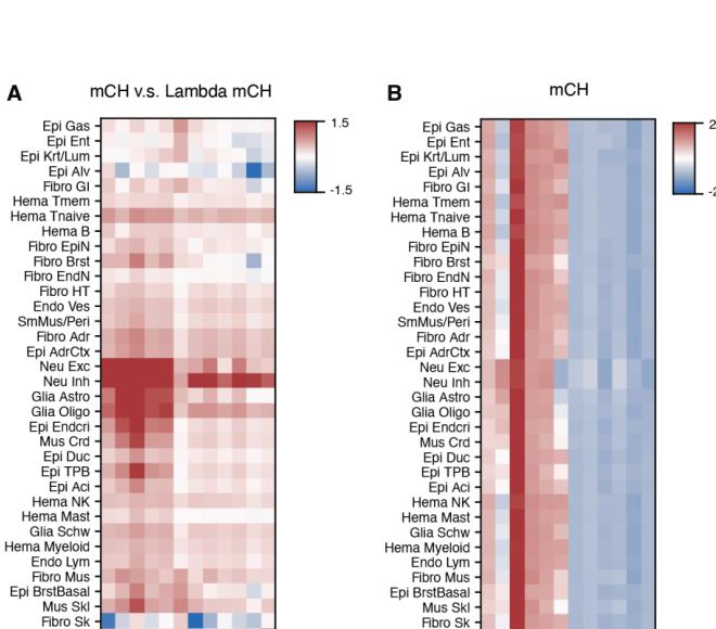Fig. S16A-B: lambda phage control 对照 genomic mCH，验证低水平非神经 mCH 的技术边界。