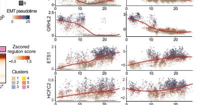 Fig.2j：代表 TF expression 与 motif deviation 沿 EMT pseudotime 协调变化。