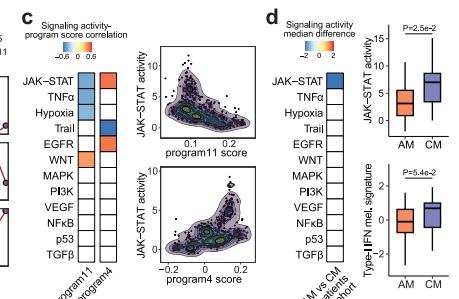 Fig.4c-d：JAK-STAT 与 Type-I IFN activity 把 AM 的低炎症状态与 CM 的 inflamed state 区分开。