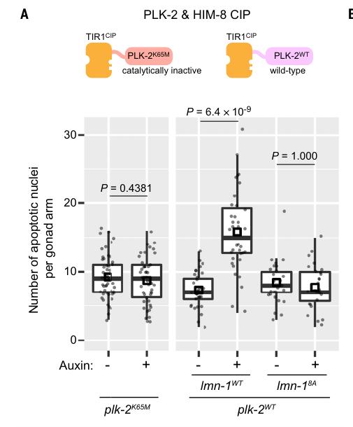 Fig.2 low-resolution guide