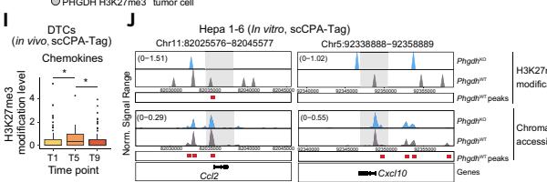 Fig.4I-J：以 Cxcl9/Cxcl10 等位点的 H3K27me3/accessibility 轨迹定位代谢-表观-免疫链的分子中段。